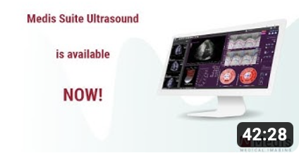 Medis Suite Ultrasound and Multi-Modality Strain webinar