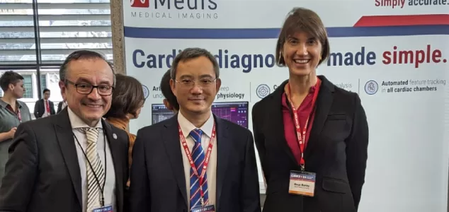 From research to release: additional normal values included in the release of Medis Suite MR